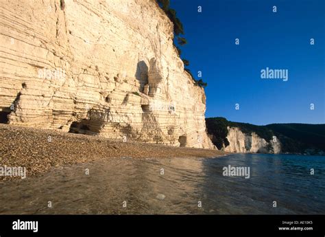 pornospiaggia|Spiaggia Porn Videos .